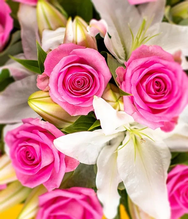 Classic Rose and  Lily