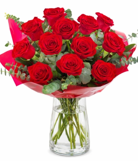 12 Red Roses
