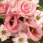 WreathLeaf Edging Pink and white