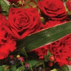 Wreath Leaf Edging Red