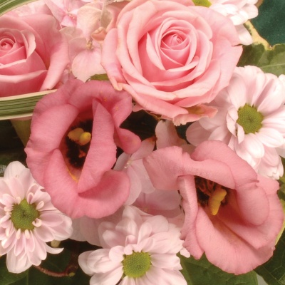 WreathLeaf Edging Pink and white